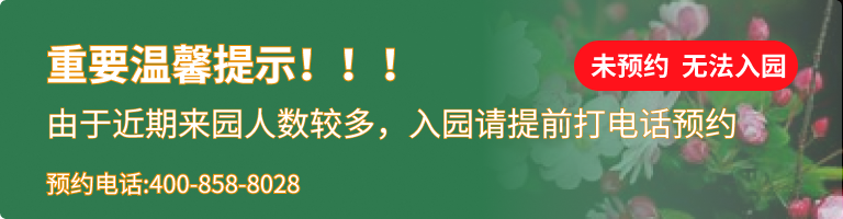 灵山宝塔陵园